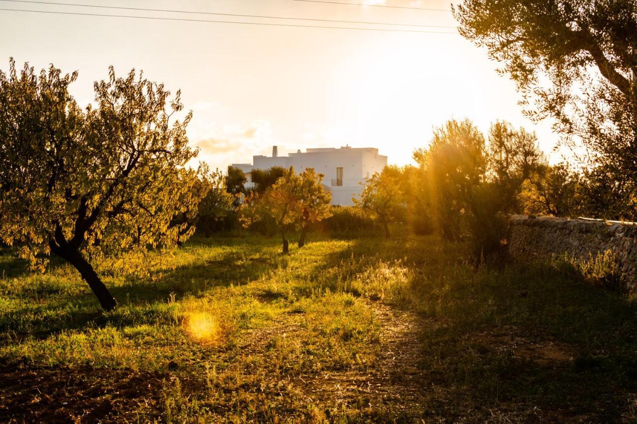 Masseria D'Erchia โมโนโปลี ภายนอก รูปภาพ