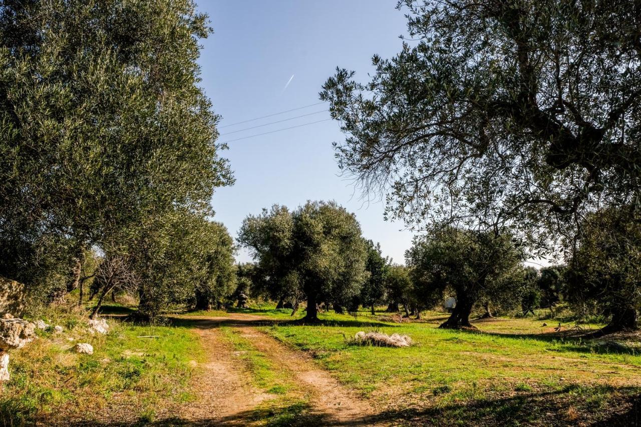 Masseria D'Erchia โมโนโปลี ภายนอก รูปภาพ